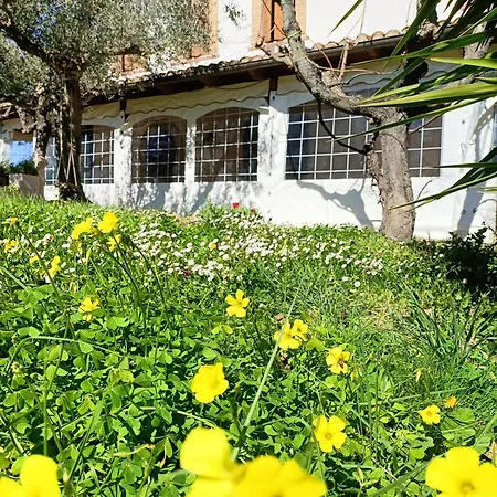 Il Melograno Feriegård Torino di Sangro